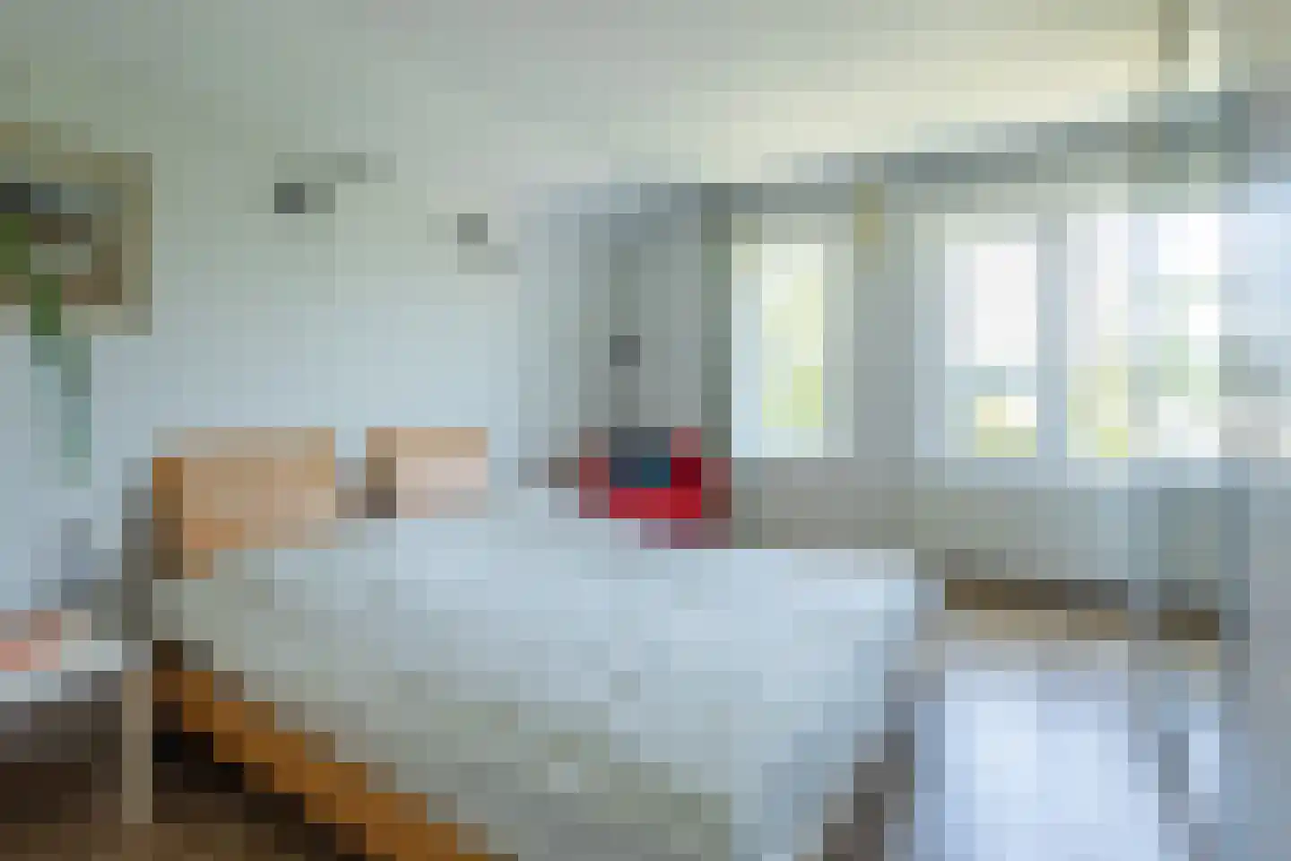 Zuiddijk 11 Hengstdijk thumbnail 19