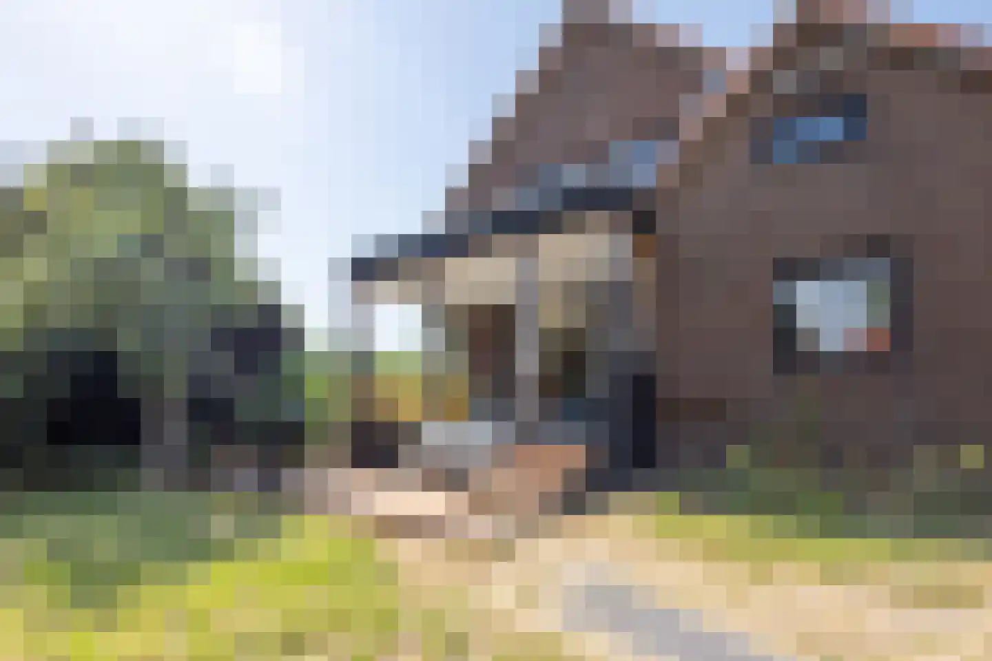 Zuiddijk 11 Hengstdijk thumbnail 30
