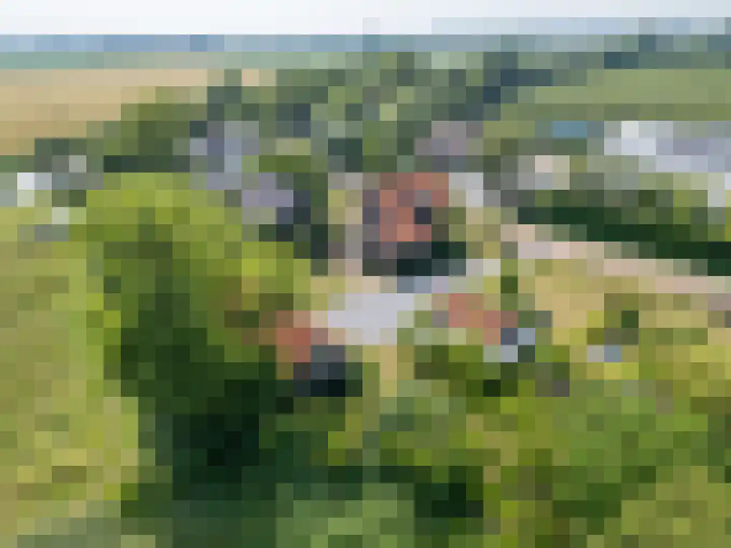 Zuiddijk 11 Hengstdijk thumbnail 41