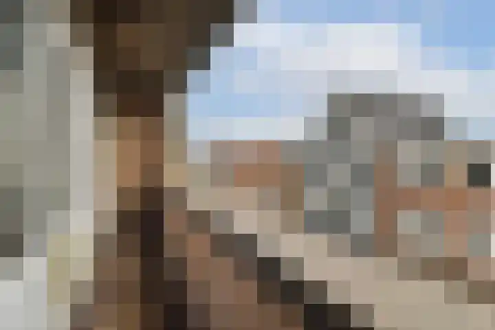 Zuiddijk 111 A Zaandam thumbnail 12