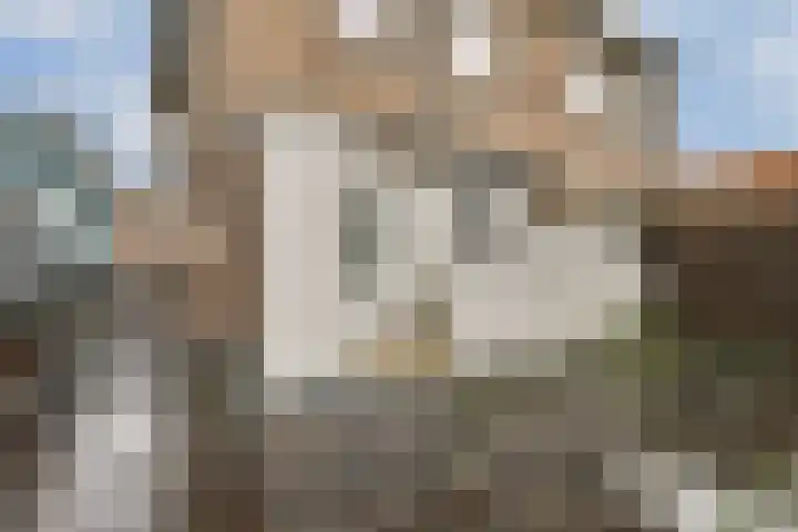 Zuiddijk 111 A Zaandam thumbnail 7