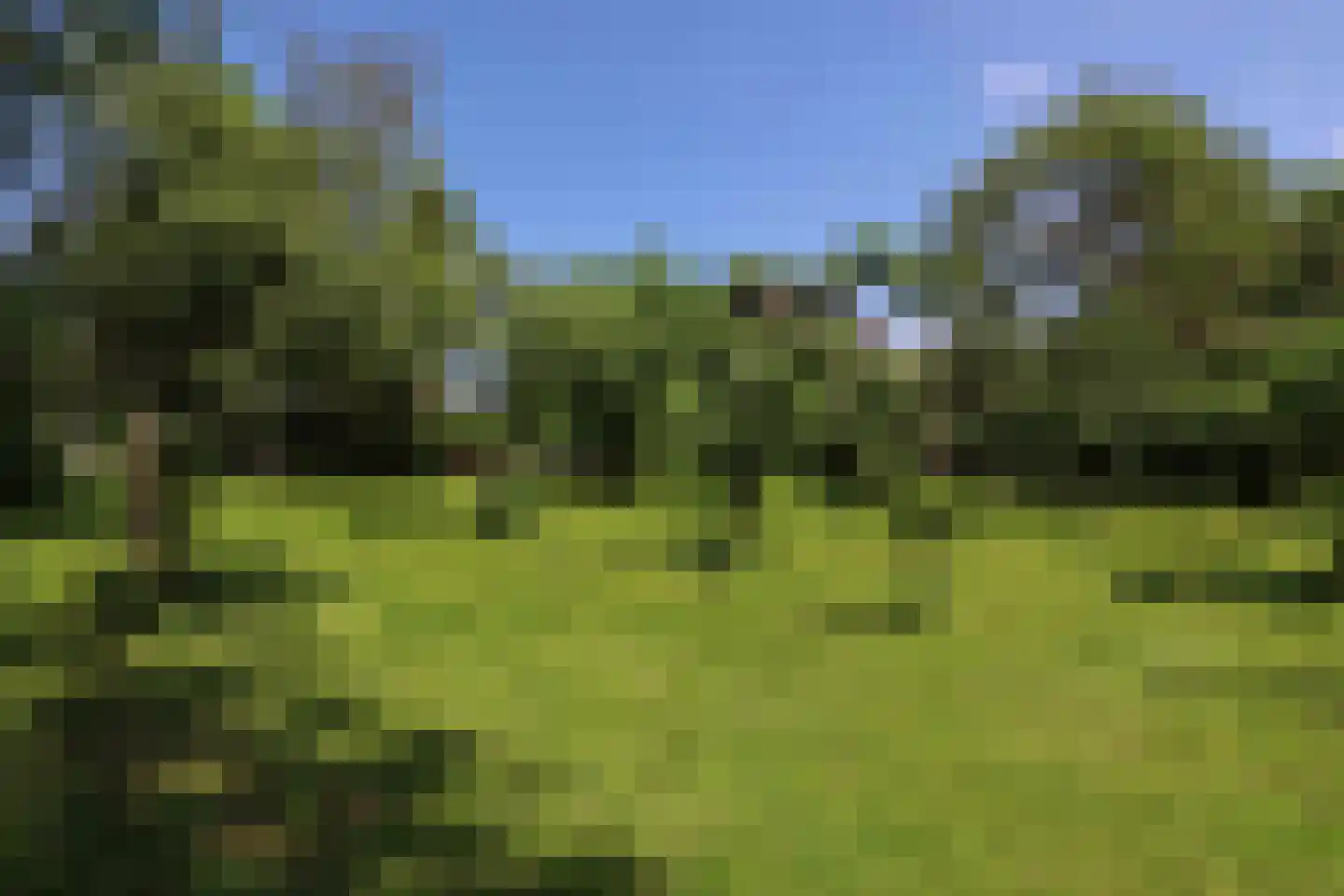 Zuiddijk 14 Dreischor thumbnail 30
