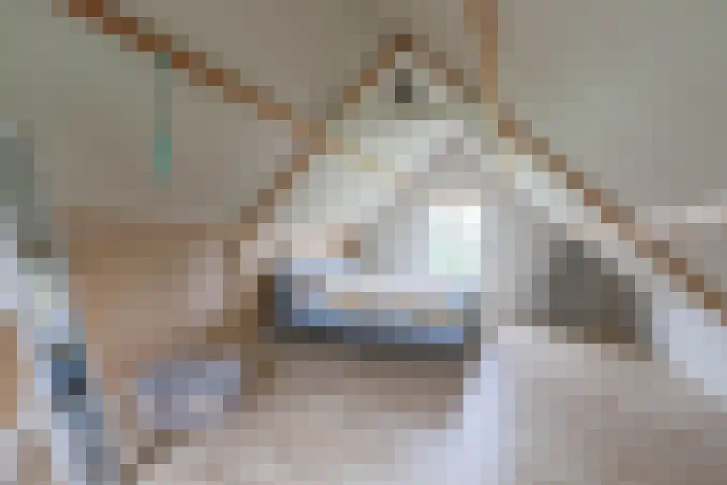 Zuiddijk 14 Dreischor thumbnail 37