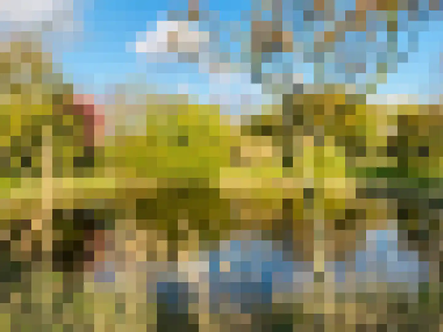Zuiddijk 14 Dreischor thumbnail 51