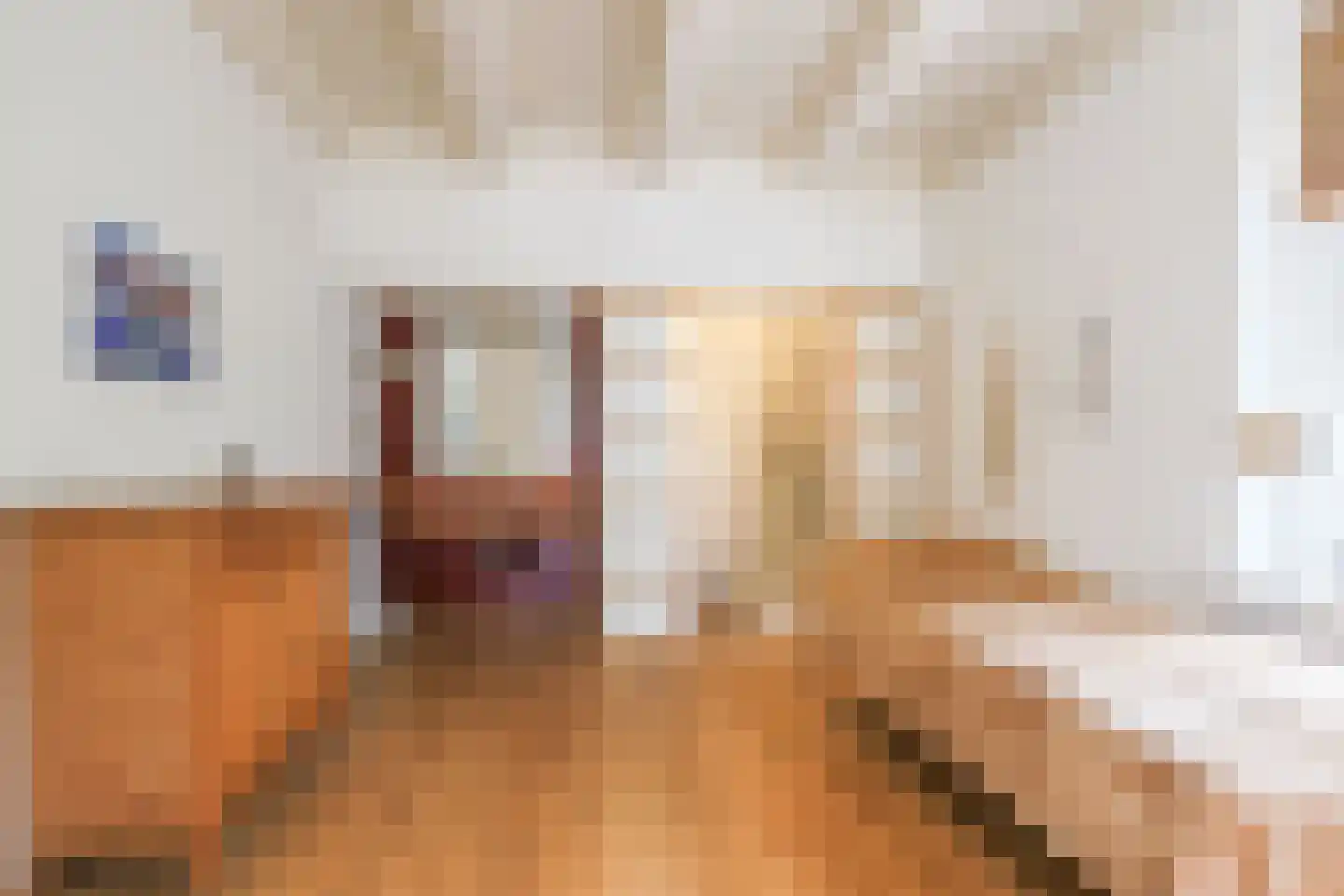 Zuiddijk 14 Dreischor thumbnail 6