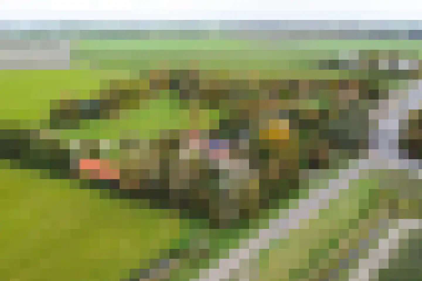 Zuiddijk 14 Dreischor thumbnail 61