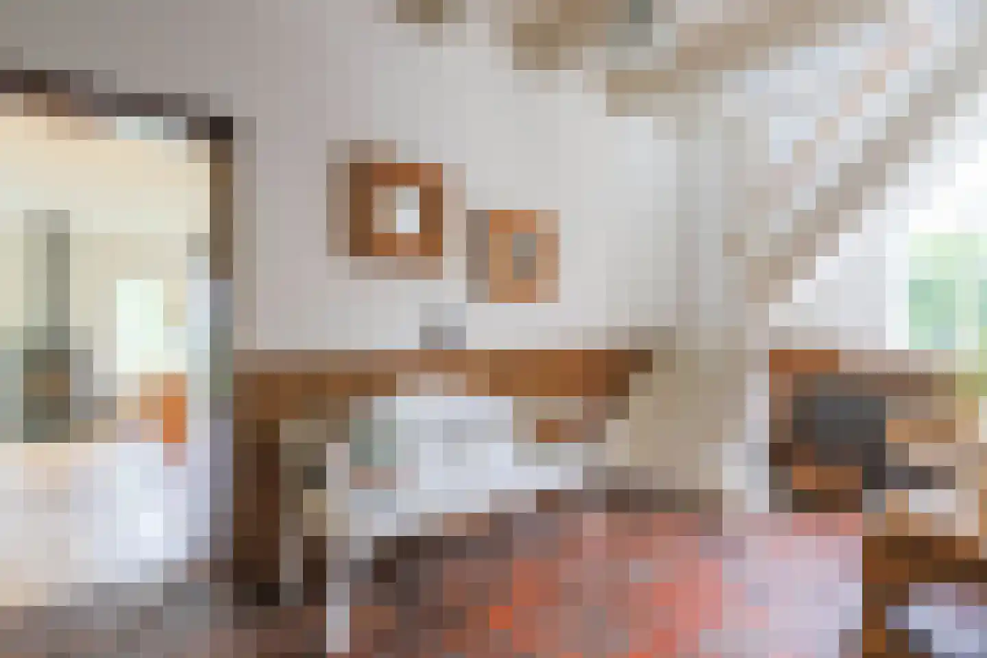 Zuiddijk 14 Dreischor thumbnail 8