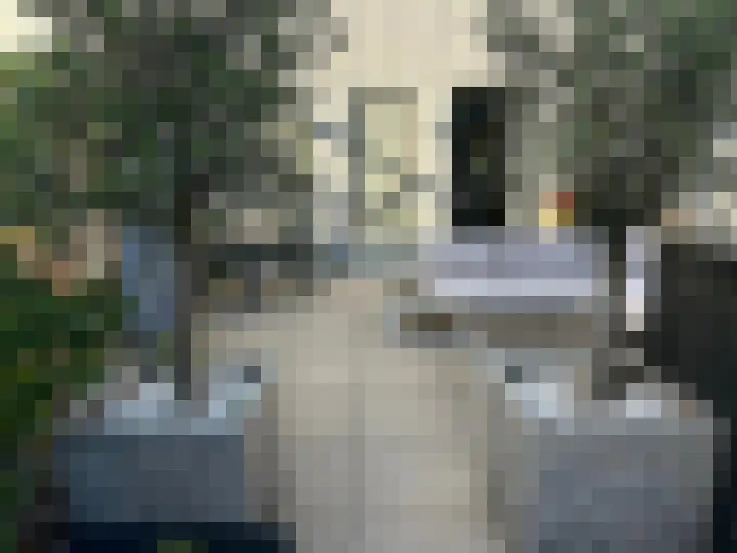 Zuiddijk 16 Delft thumbnail 19