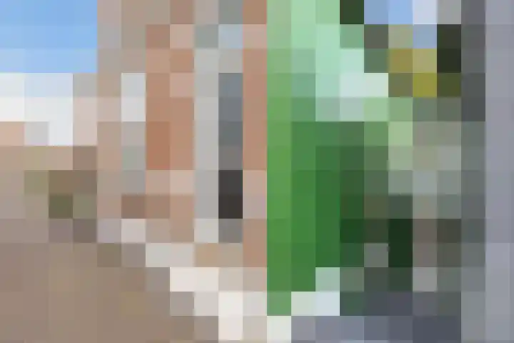 Zuiddijk 199 Zaandam thumbnail 8