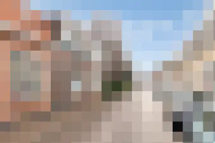 Zuiddijk 229 Zaandam thumbnail 31