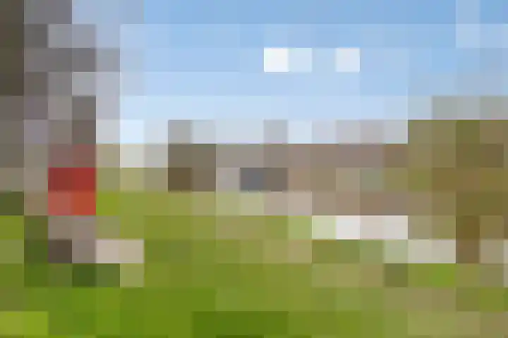 Zuiddijk 229 Zaandam thumbnail 36