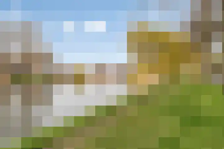 Zuiddijk 229 Zaandam thumbnail 37