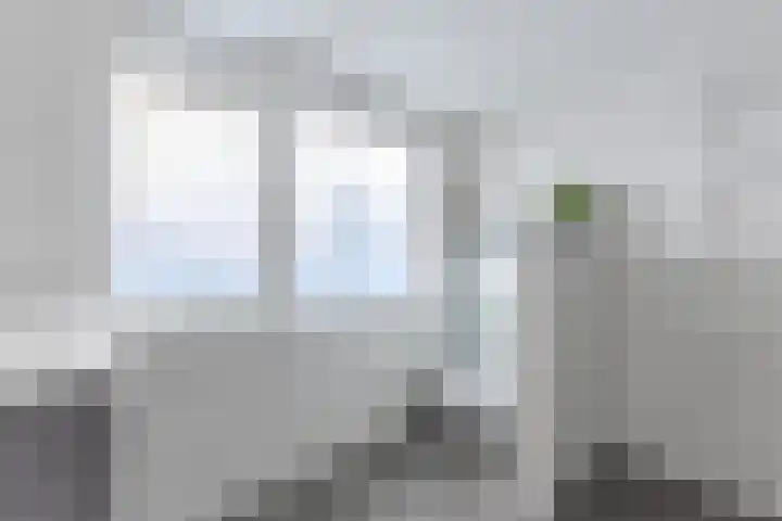 Zuiddijk 252 Zaandam thumbnail 21