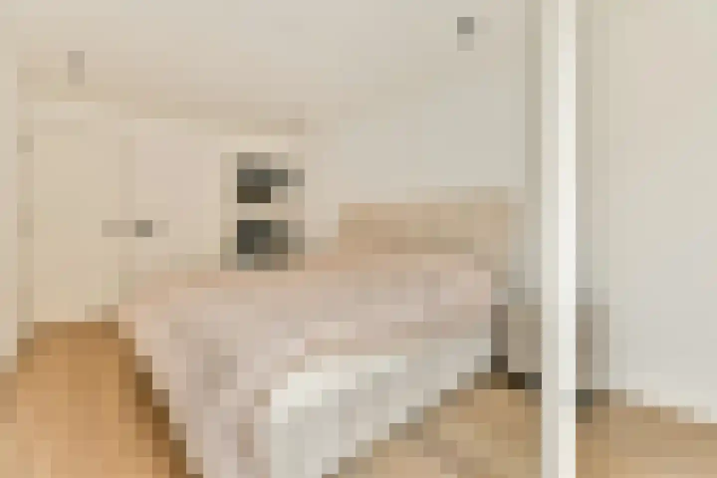 Zuiddijk 253 B Zaandam thumbnail 9