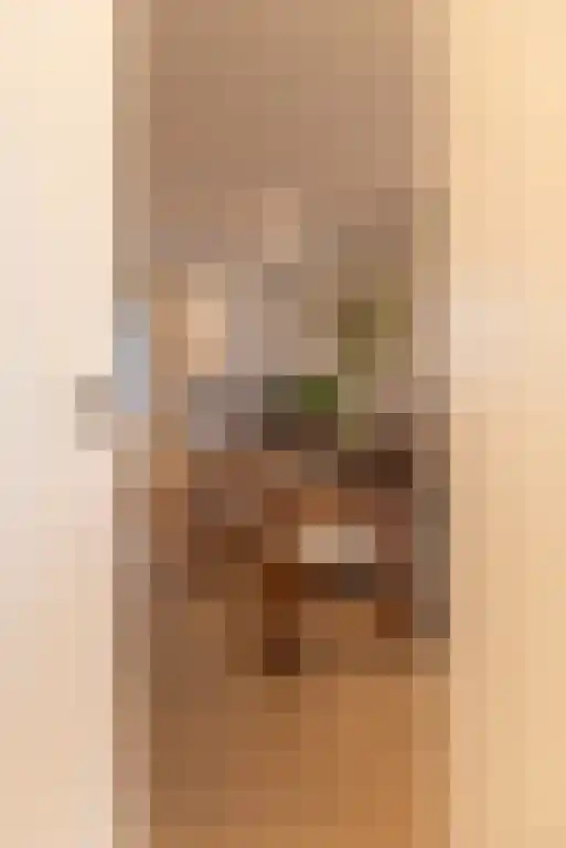 Zuiddijk 257 Zaandam foto 3