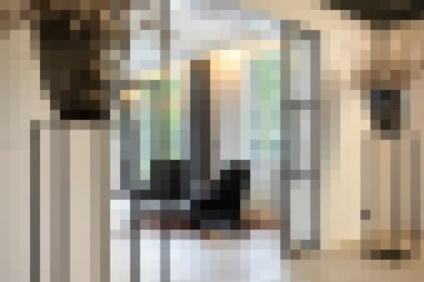 Zuiddijk 3 Herkingen thumbnail 19
