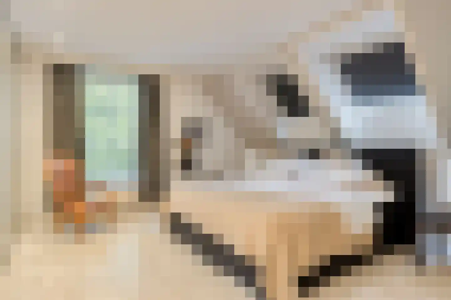 Zuiddijk 3 Herkingen thumbnail 28