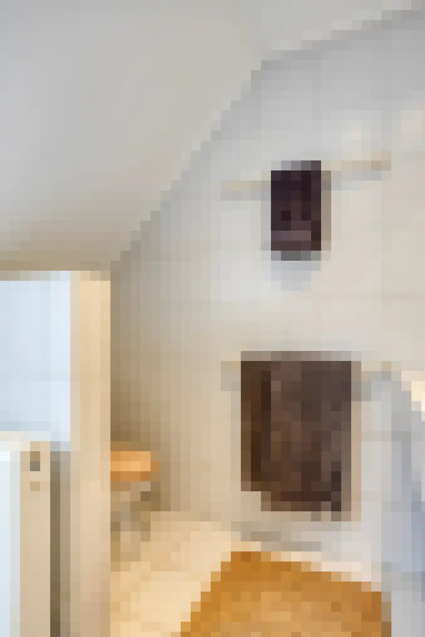 Zuiddijk 3 Herkingen thumbnail 30