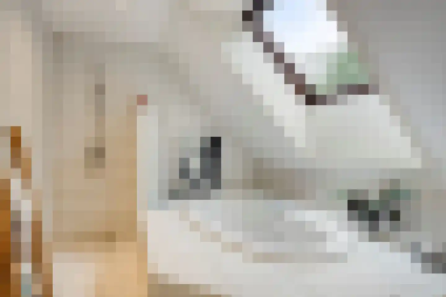 Zuiddijk 3 Herkingen thumbnail 31