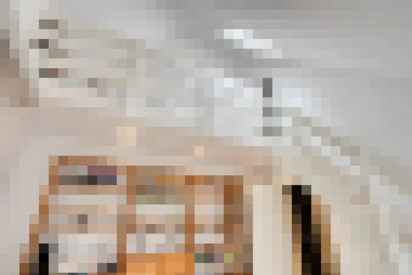 Zuiddijk 3 Herkingen thumbnail 33