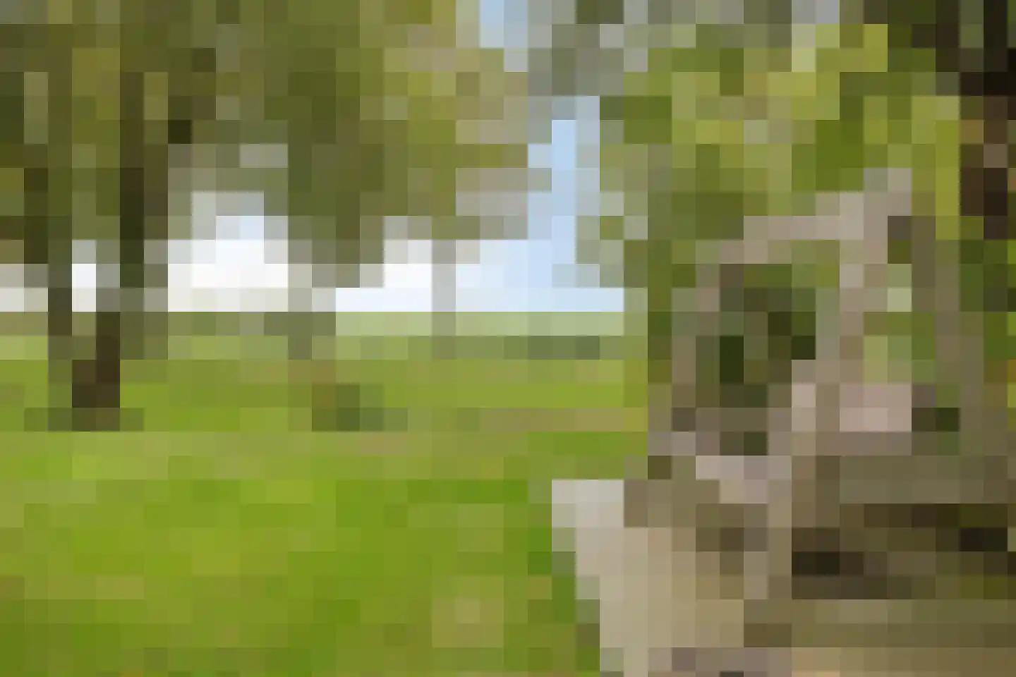 Zuiddijk 3 Herkingen thumbnail 46