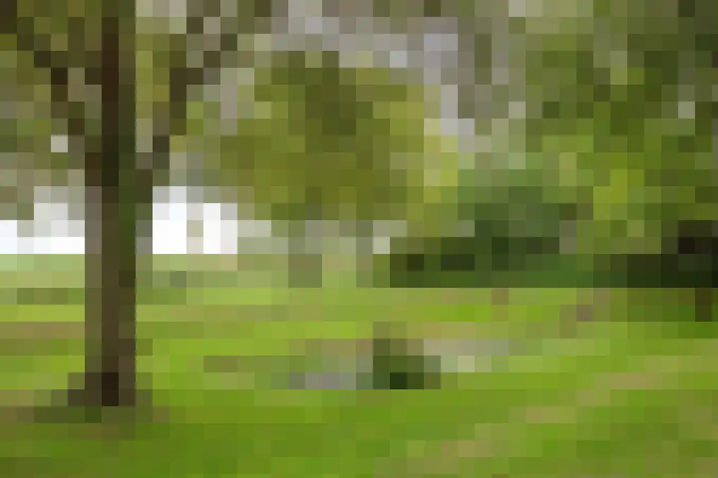Zuiddijk 3 Herkingen thumbnail 47