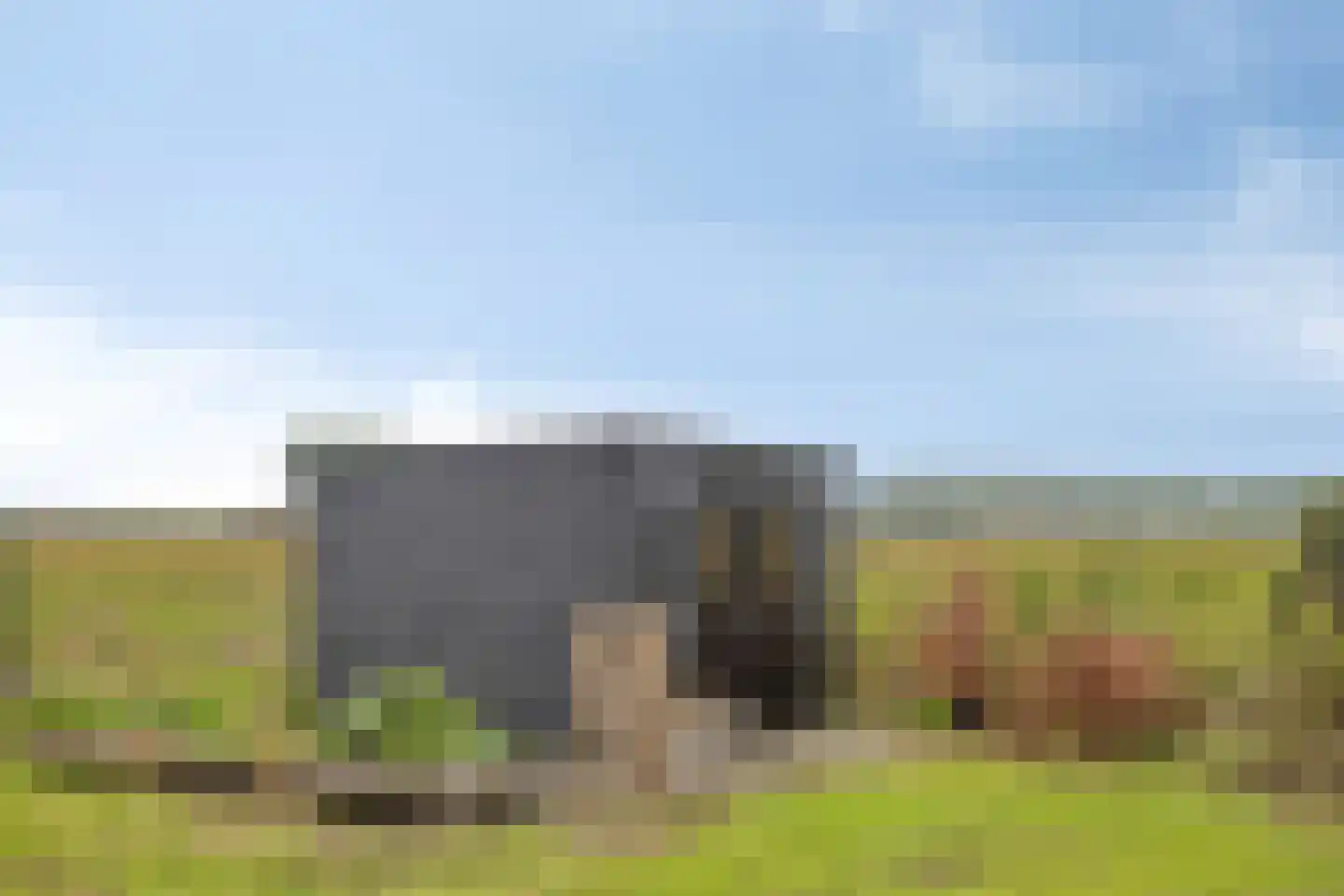 Zuiddijk 3 Herkingen thumbnail 48