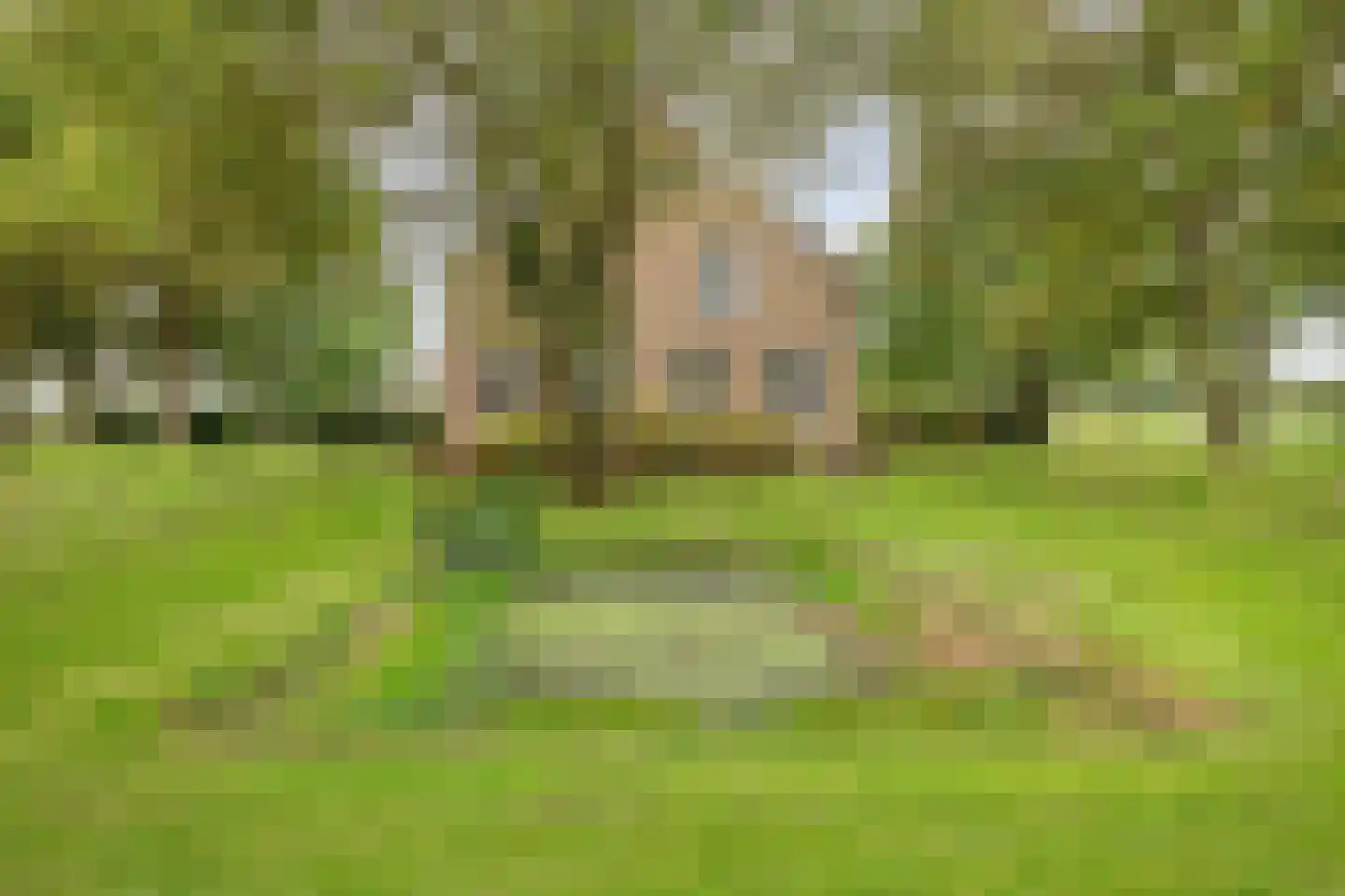 Zuiddijk 3 Herkingen thumbnail 49