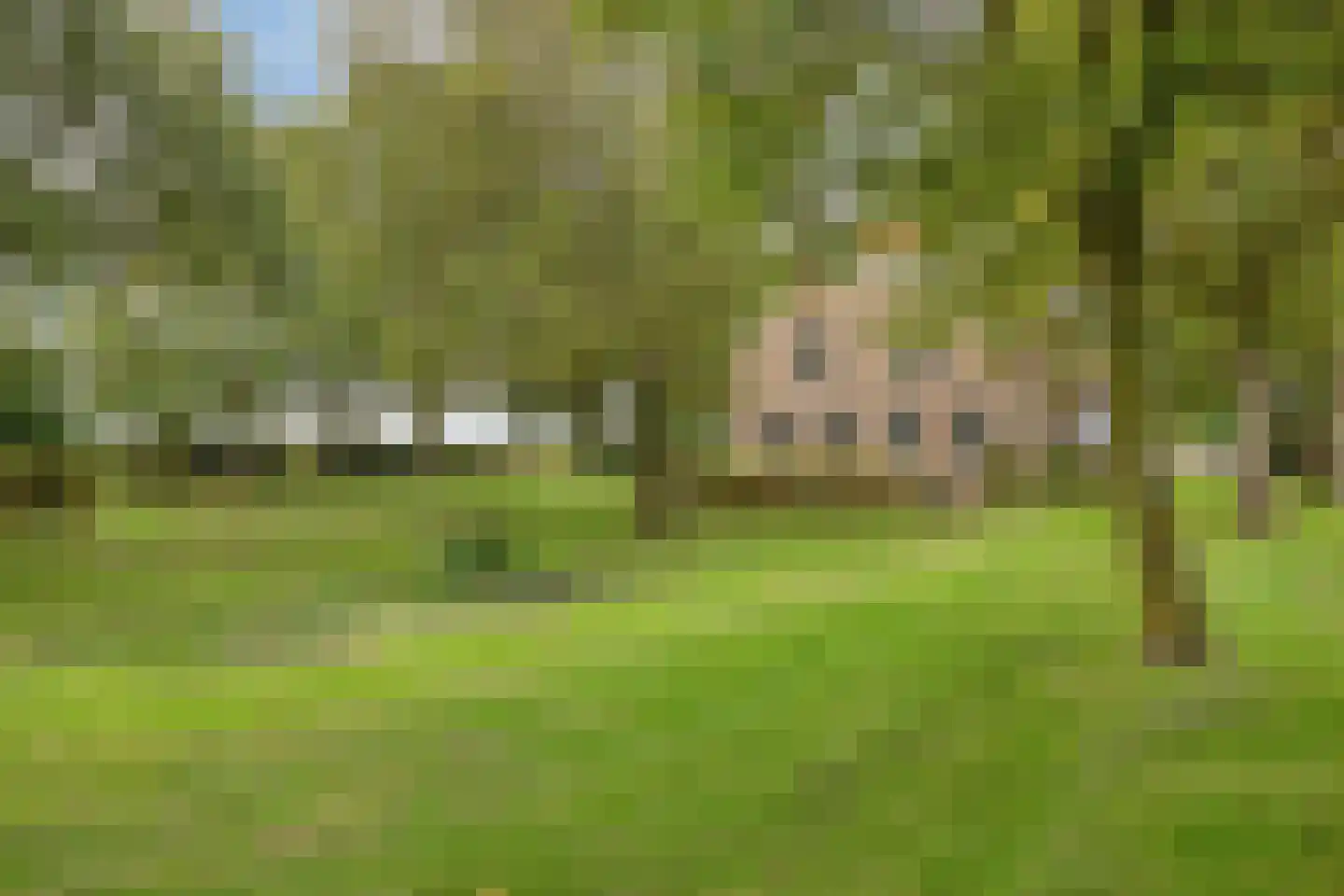 Zuiddijk 3 Herkingen thumbnail 50