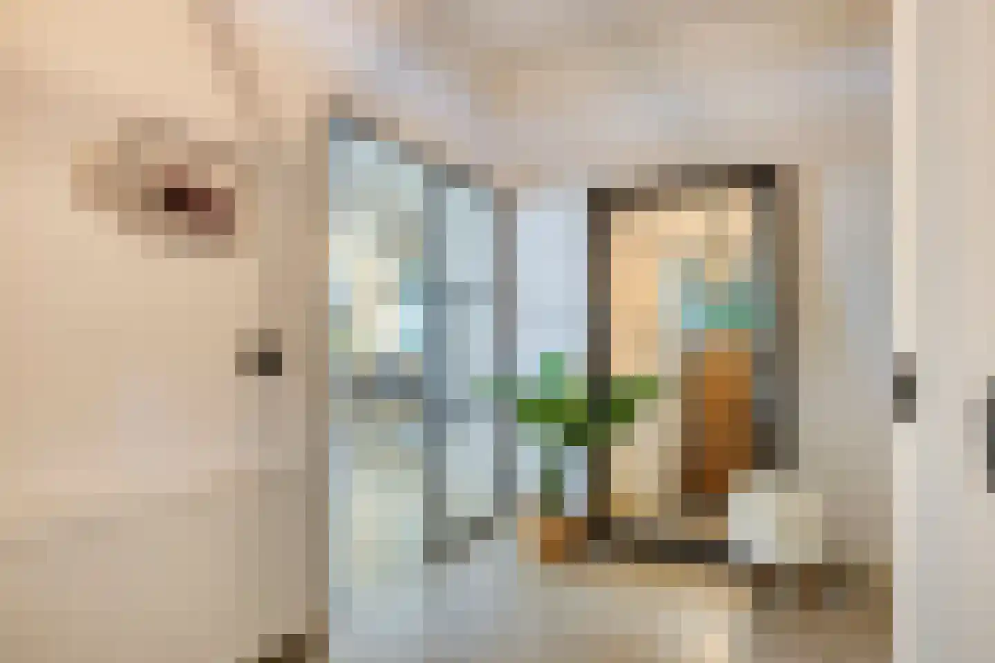 Zuiddijk 3 Herkingen thumbnail 9