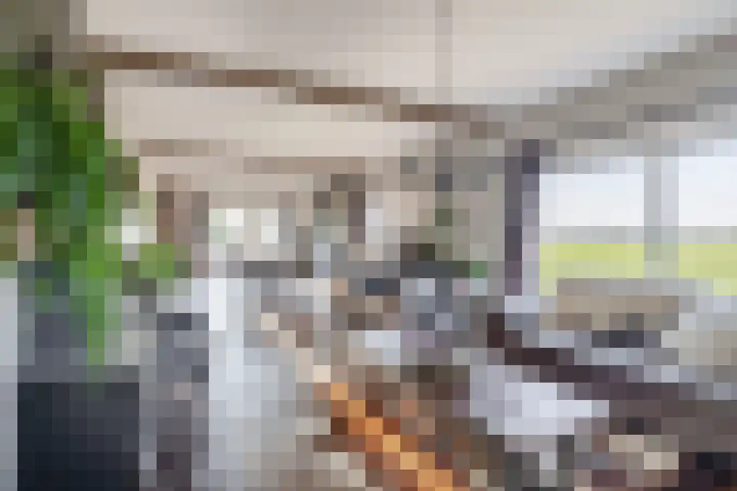 Zuiddijk 3 Langeweg thumbnail 10