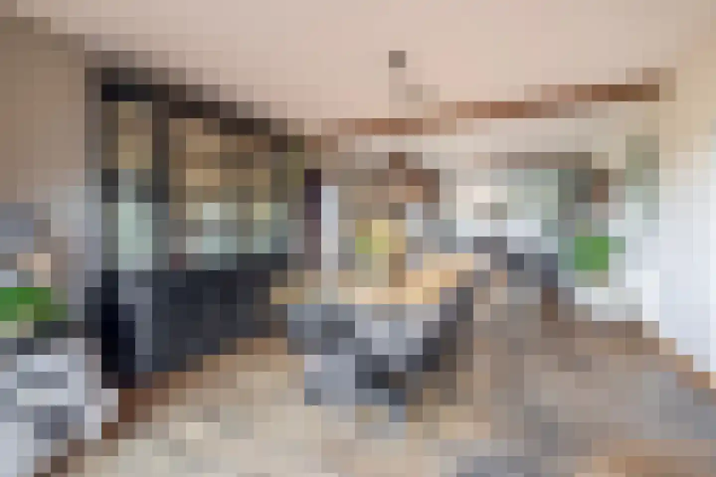 Zuiddijk 3 Langeweg thumbnail 16