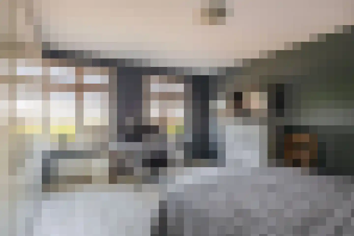 Zuiddijk 3 Langeweg thumbnail 22