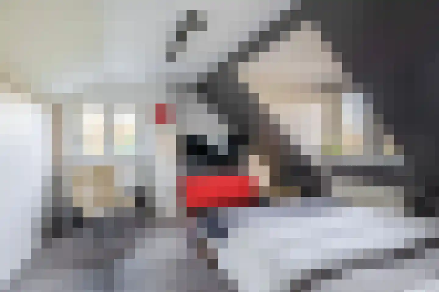 Zuiddijk 3 Langeweg thumbnail 25