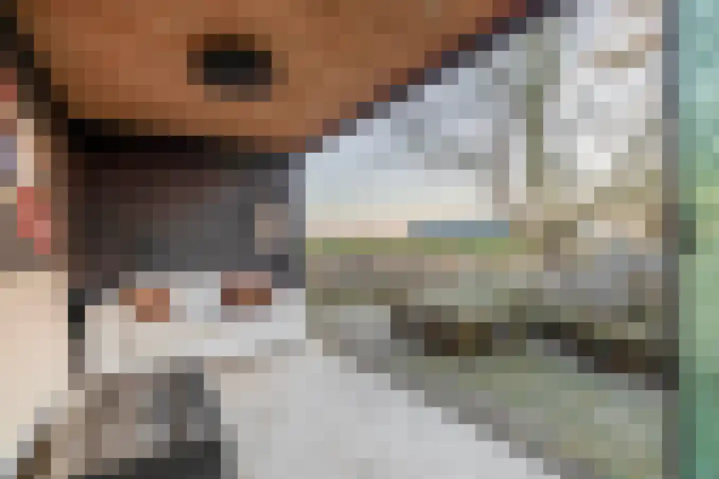 Zuiddijk 3 Langeweg thumbnail 34