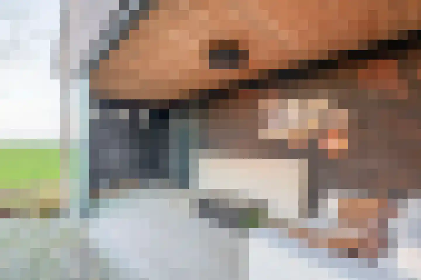 Zuiddijk 3 Langeweg thumbnail 35