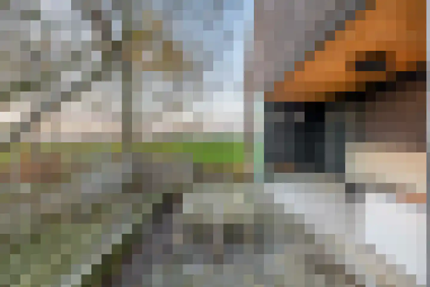 Zuiddijk 3 Langeweg thumbnail 36