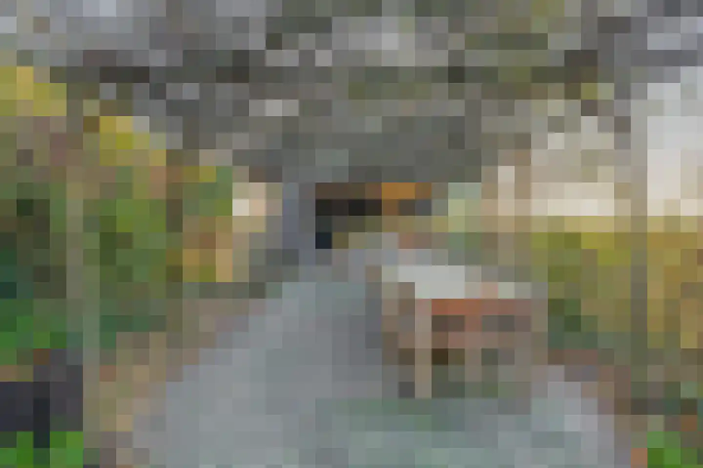 Zuiddijk 3 Langeweg thumbnail 4