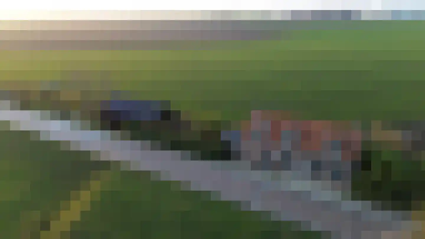 Zuiddijk 3 Langeweg thumbnail 48