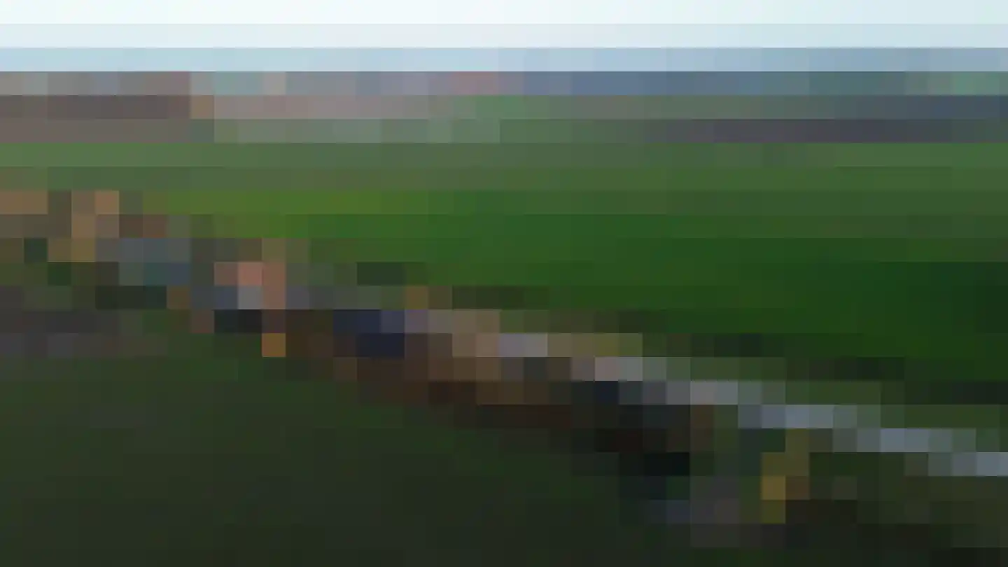 Zuiddijk 3 Langeweg thumbnail 52
