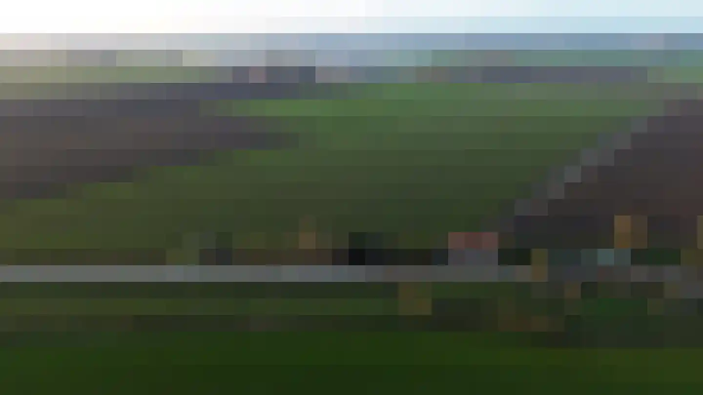 Zuiddijk 3 Langeweg thumbnail 56