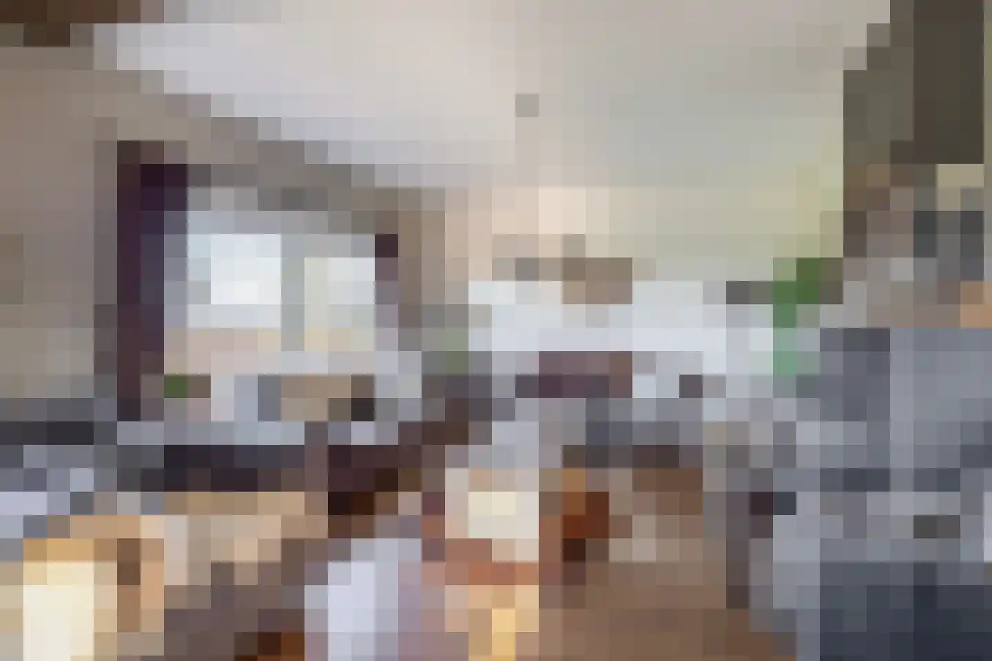 Zuiddijk 3 Langeweg thumbnail 9
