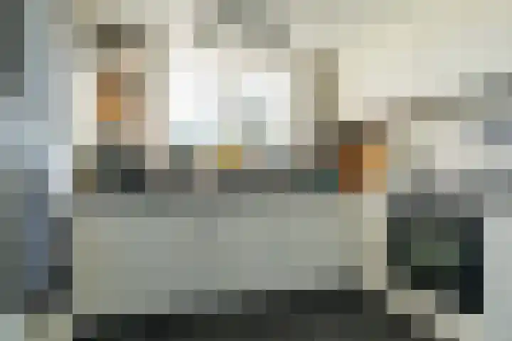 Zuiddijk 3 Oude-Tonge thumbnail 10
