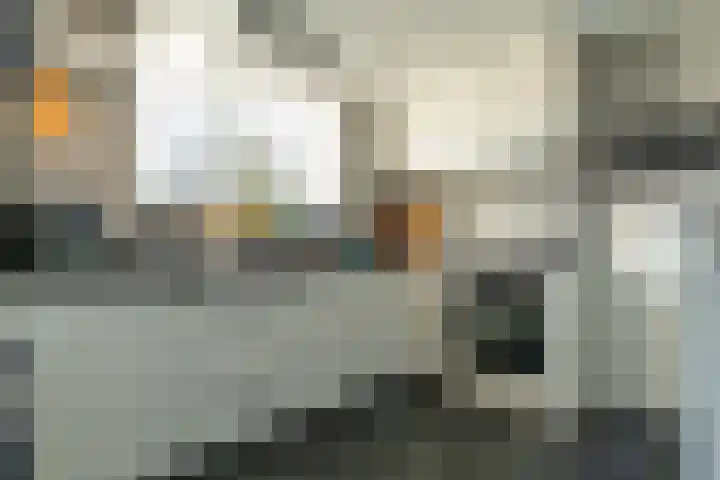 Zuiddijk 3 Oude-Tonge thumbnail 11