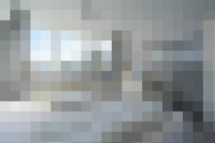 Zuiddijk 3 Oude-Tonge thumbnail 20