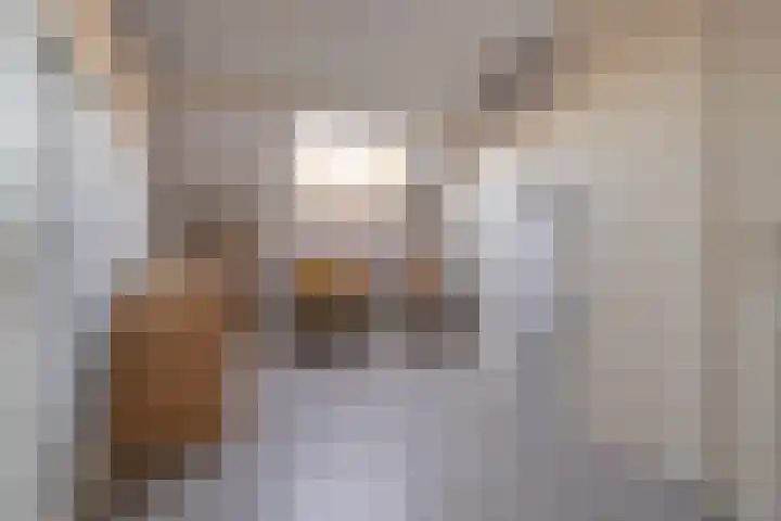 Zuiddijk 3 Oude-Tonge thumbnail 22