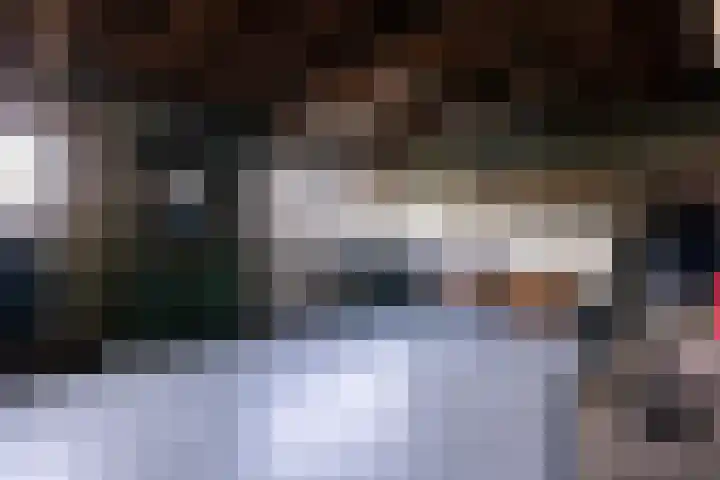 Zuiddijk 3 Oude-Tonge thumbnail 30