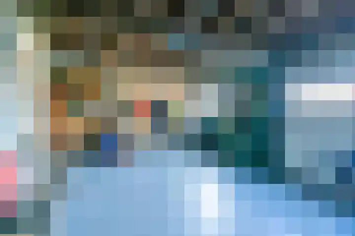 Zuiddijk 3 Oude-Tonge thumbnail 31
