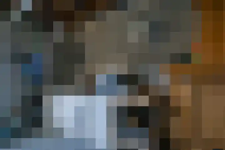 Zuiddijk 3 Oude-Tonge thumbnail 32