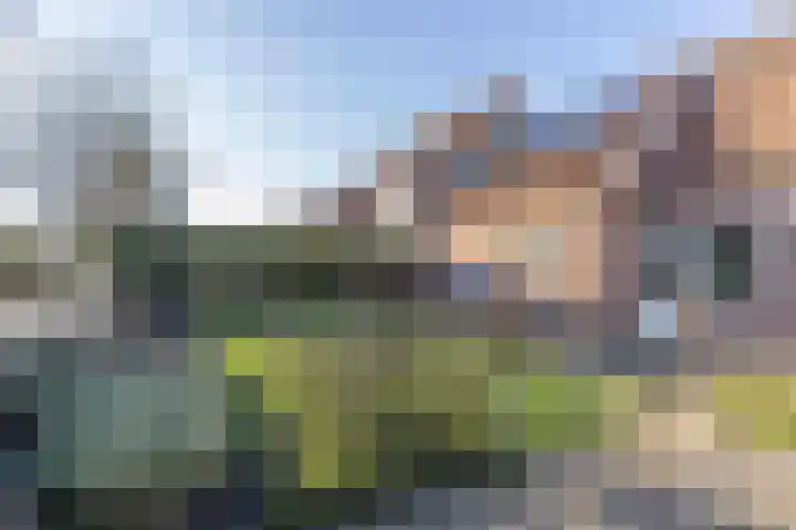 Zuiddijk 3 Oude-Tonge thumbnail 39